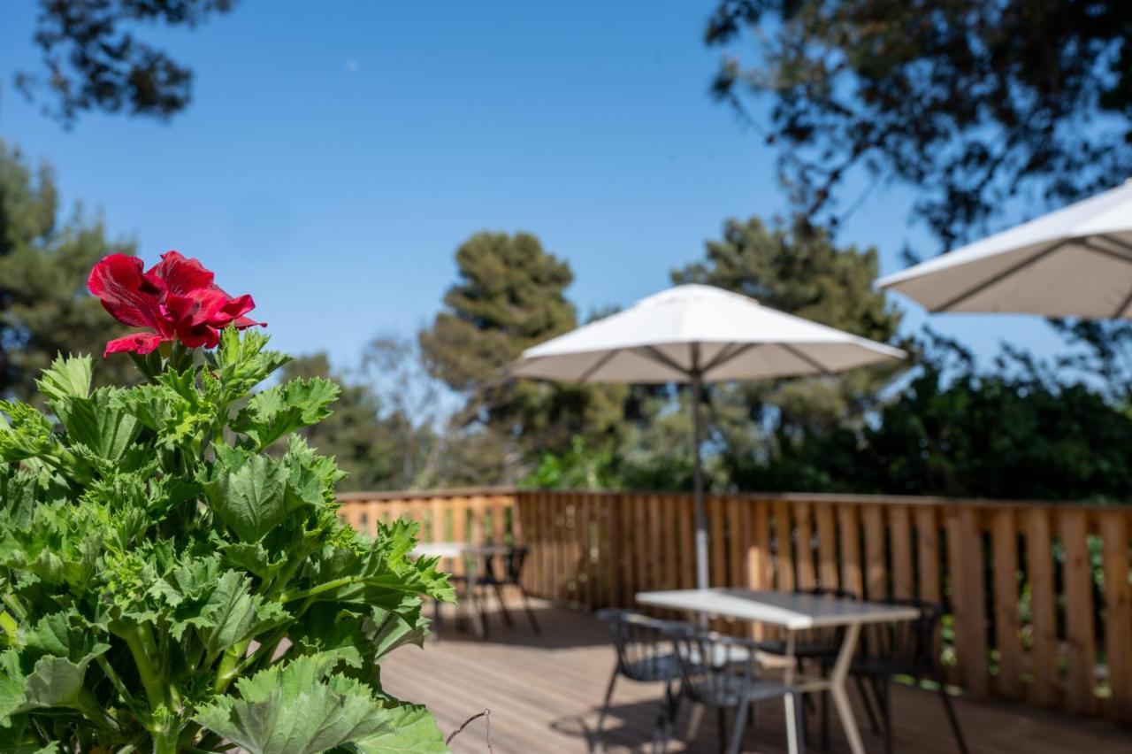Kibbutz Malkiya Travel Hotel Malkiyya Exteriör bild