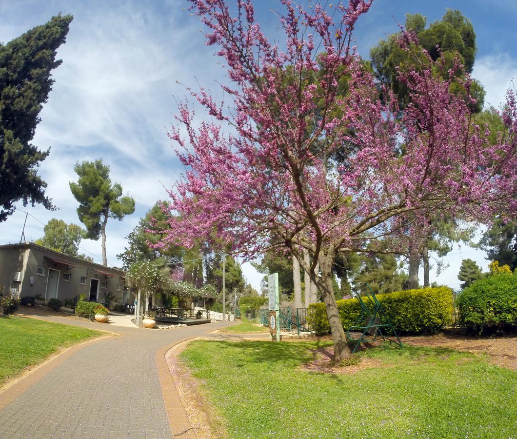 Kibbutz Malkiya Travel Hotel Malkiyya Exteriör bild